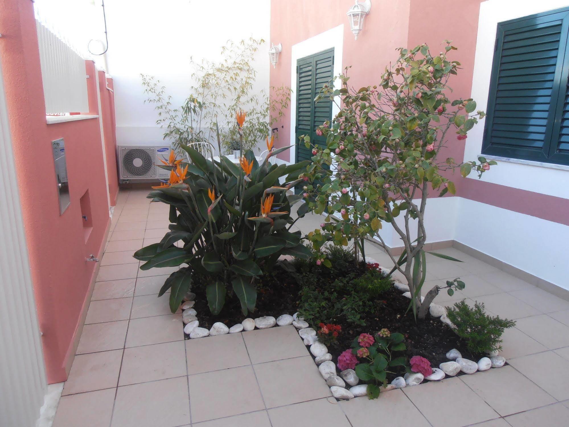 Casa Morgados - Grandola Guesthouse מראה חיצוני תמונה