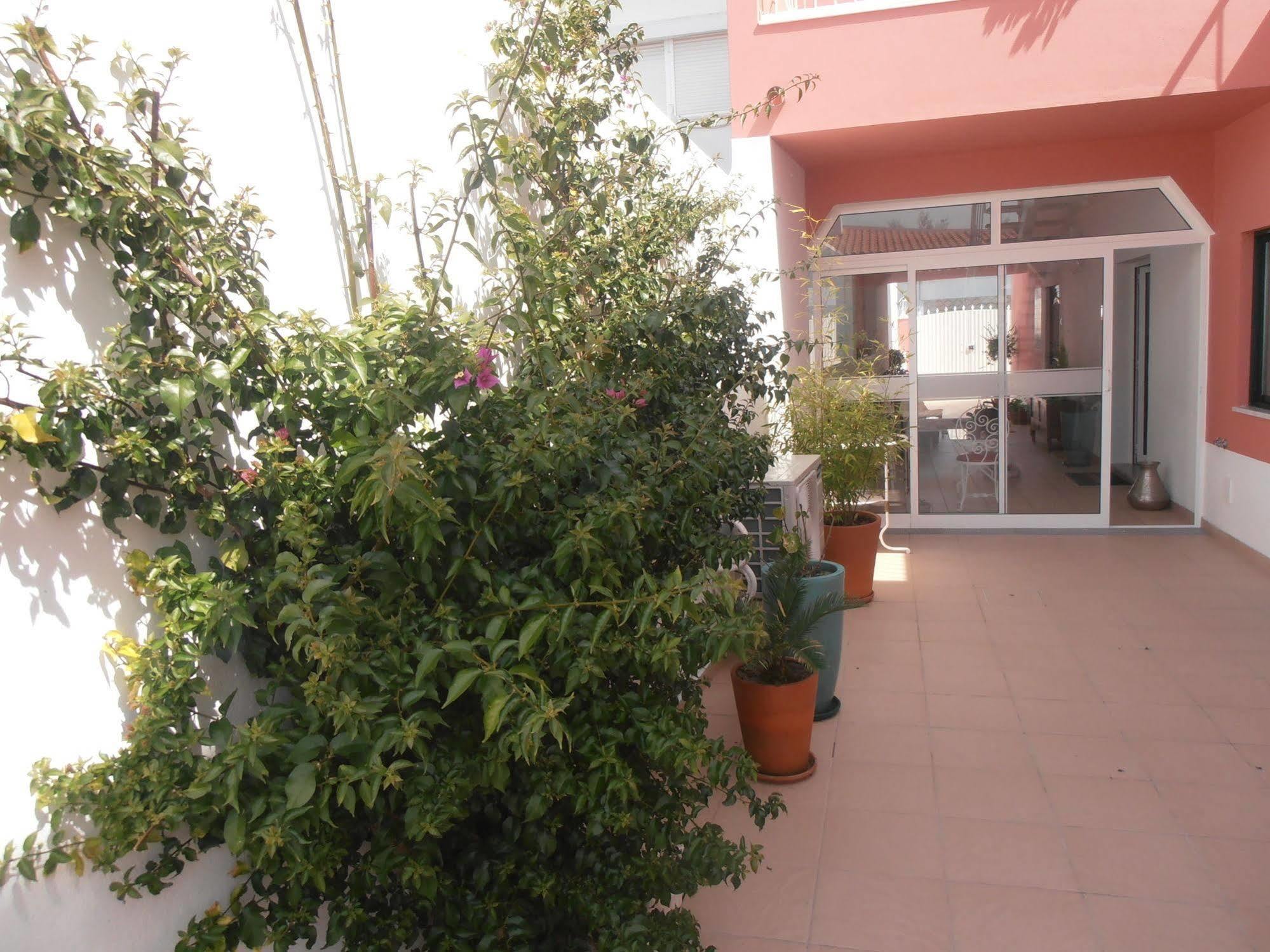 Casa Morgados - Grandola Guesthouse מראה חיצוני תמונה